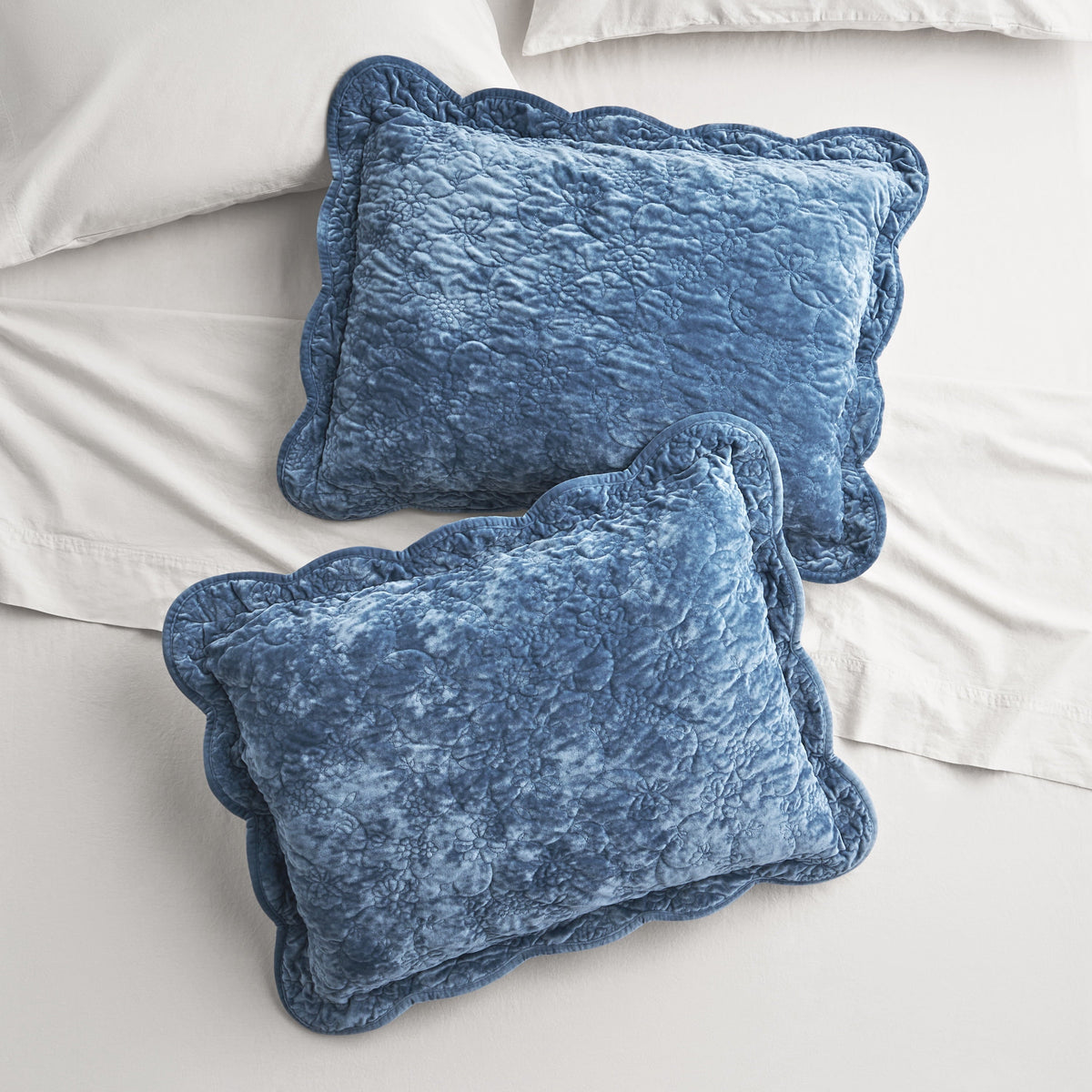 Pillow sham set in Blue Dust Velvet