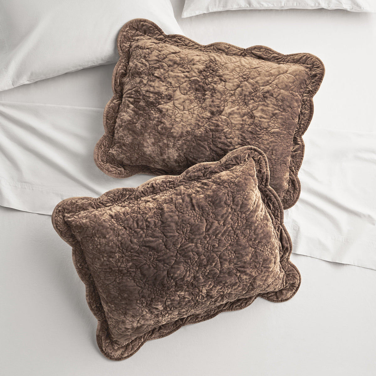 Pillow sham set in Brown Velvet