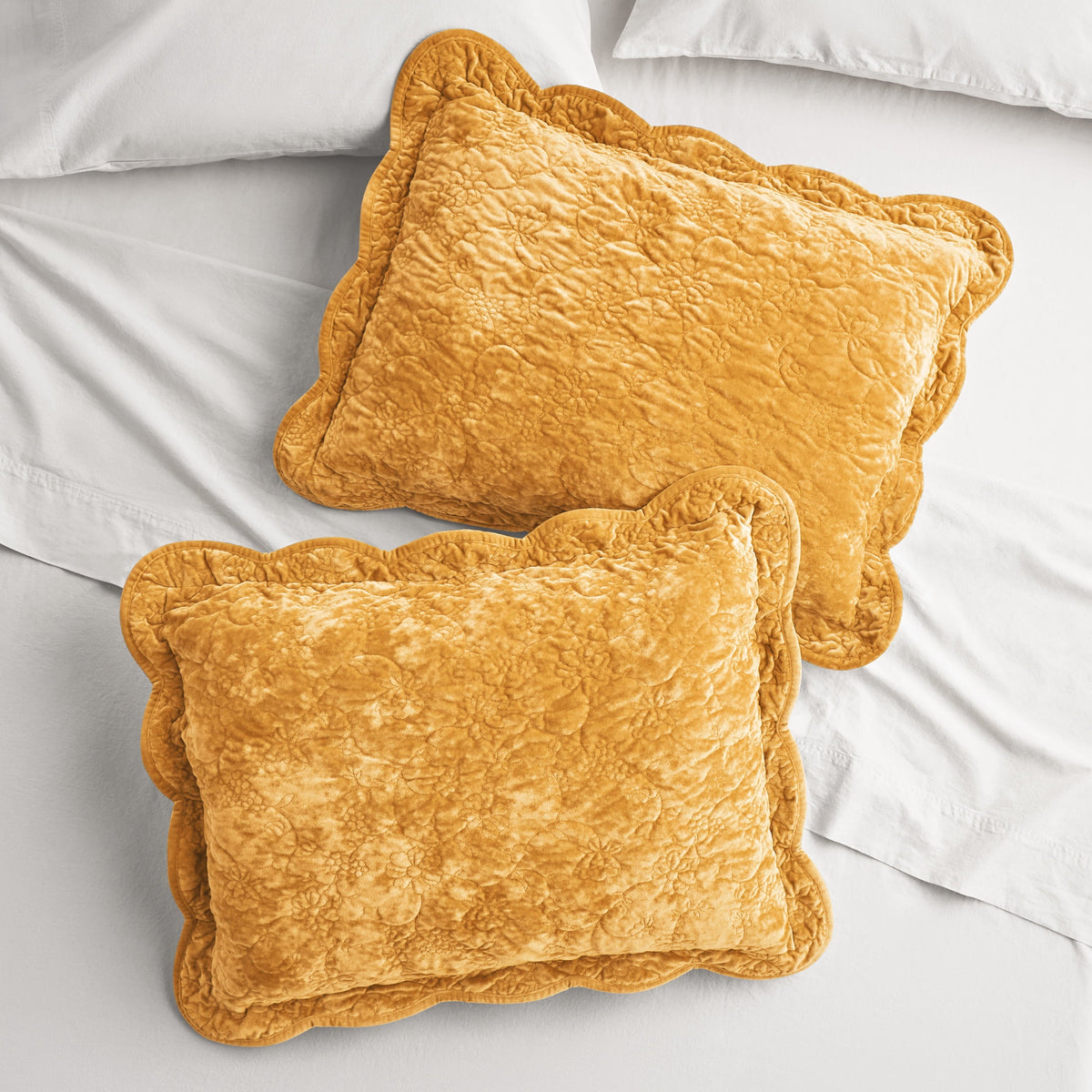 Pillow sham set in Amber Yellow Velvet